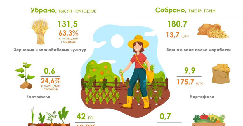 О ходе уборки урожая в Пермском крае на начало сентября 2021 года